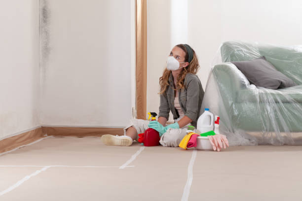 Reliable Mold Remediation contractor in Long Beach, WA by WQB Mold Removal